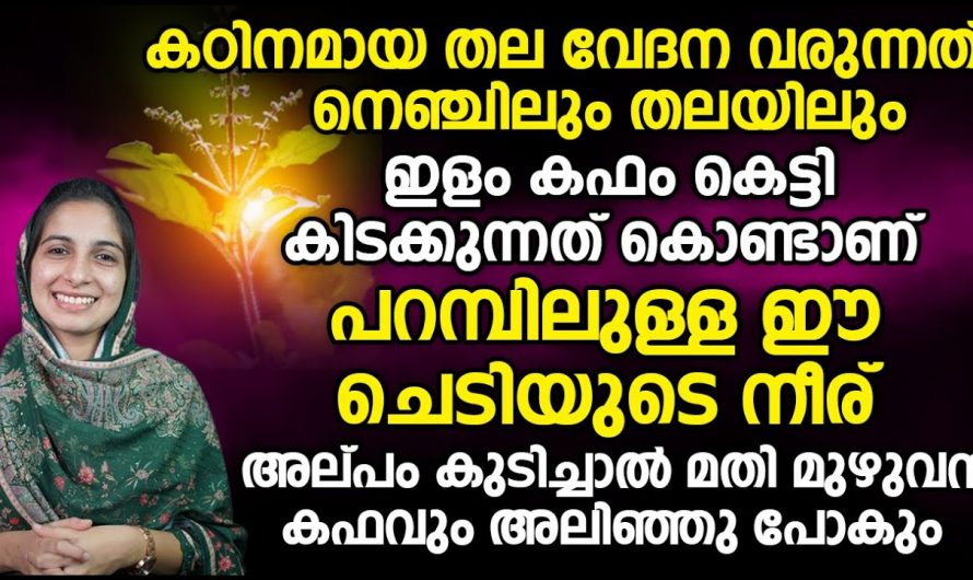 ശരീരത്തിൽ വൈറ്റമിൻ ഡി കുറഞ്ഞാൽ ഈ രോഗം ഒരിക്കലും മാറില്ല..