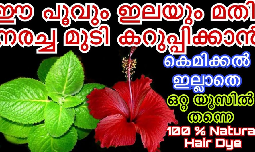 ഒരു രൂപ പോലും കാശ് ചിലവില്ലാതെ വീട്ടിൽ തന്നെ തയ്യാറാക്കാൻ സാധിക്കുന്ന ഒരു കിടിലൻ ഡൈ…