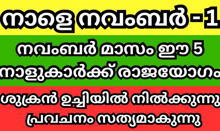 നവംബർ മാസം ഈ നക്ഷത്രക്കാർ കുതിച്ചുയരും.. അത്ഭുതപ്പെടുത്തുന്ന നേട്ടങ്ങൾ കൈവരിക്കും..