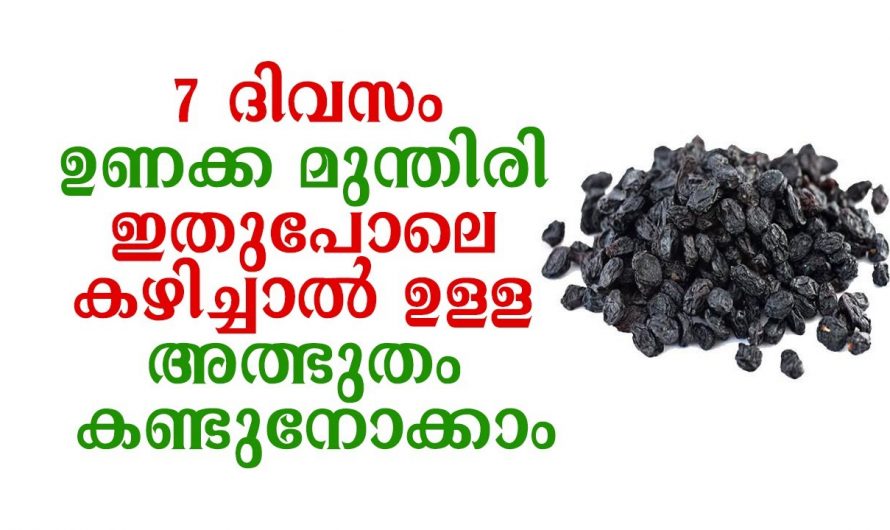 അത്ഭുതപ്പെടുത്തുന്ന ഉണക്കമുന്തിരിയുടെ ഗുണങ്ങൾ, ചർമം വെട്ടിത്തിളങ്ങും…