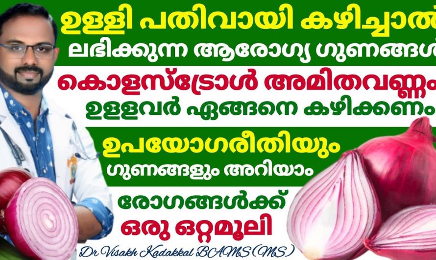 ക്യാൻസർ, പ്രമേഹം ,രക്തസമ്മർദ്ദം…. പല രോഗങ്ങളും അകറ്റാം ഉള്ളി യിലൂടെ…