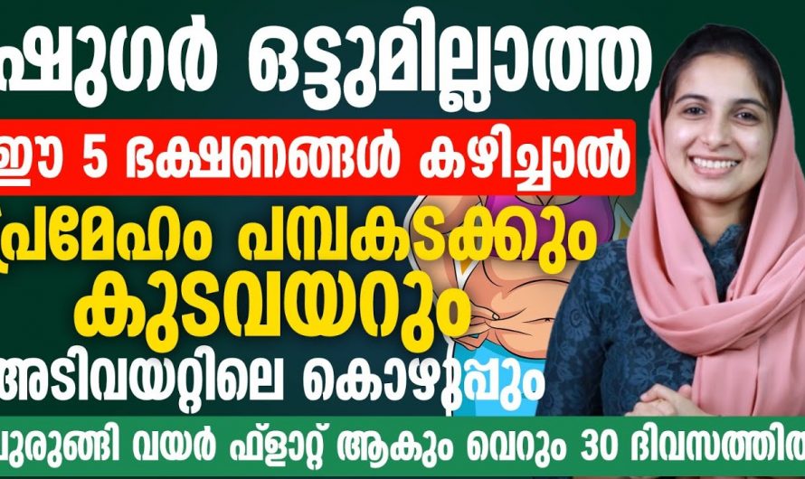 ഒരു ഡയറ്റും ഇല്ലാതെ പൊണ്ണത്തടിയും കുടവയറും ദിവസങ്ങൾക്കുള്ളിൽ കുറയ്ക്കാം… ഇതാ എളുപ്പവഴി..