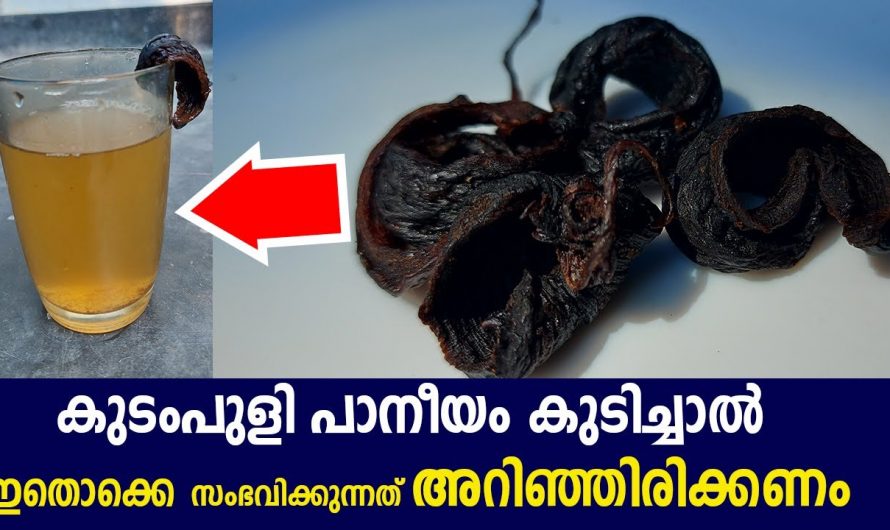 മരുന്നില്ലാതെ കൊളസ്ട്രോളും പ്രമേഹവും കുറയ്ക്കാൻ അല്പം കുടംപുളി മതി.. കുടംപുളിയുടെ ആരോഗ്യഗുണങ്ങൾ..