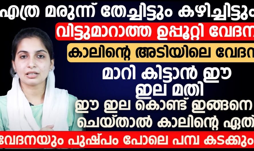 വിട്ടുമാറാത്ത ഉപ്പൂറ്റി വേദന വീട്ടിൽ തന്നെ മാറ്റാം, ഈ ട്രിക്ക് അറിഞ്ഞാൽ മതി….