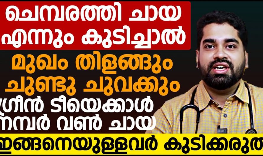 ചർമ്മത്തിനും ആരോഗ്യത്തിനും മികച്ച പാനീയം, ചെമ്പരത്തി ചായ എന്ന അത്ഭുതം…