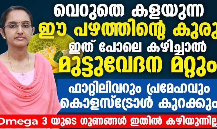 ഈ ഭക്ഷണങ്ങൾ കഴിച്ചാൽ ശരീരത്തിന്റെ രോഗപ്രതിരോധശേഷി ഇരട്ടിയാകും….