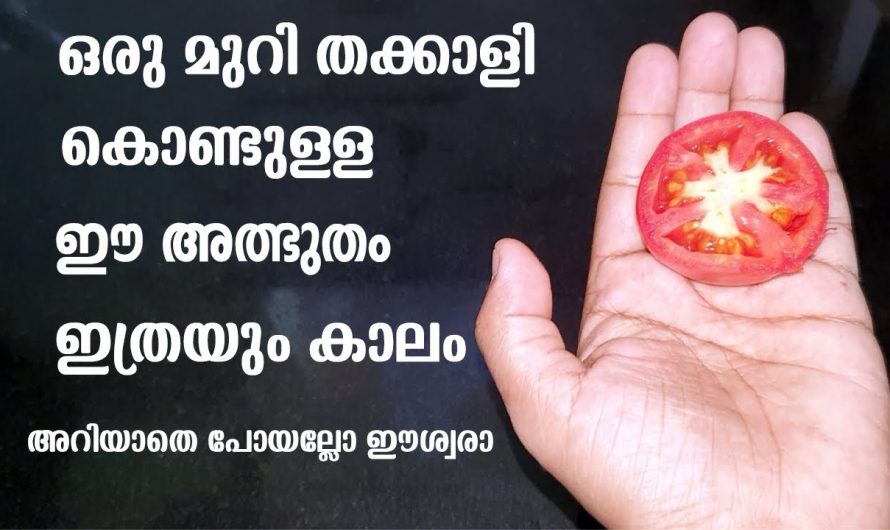 ഒരു തക്കാളി ഉണ്ടെങ്കിൽ മുഖത്തെ കറുത്ത പാടുകൾ എളുപ്പത്തിൽ മാറ്റാം…