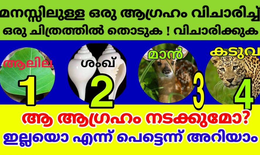 നിങ്ങളുടെ മനസ്സിലെ ആഗ്രഹം സാധിക്കുമോ ഇല്ലയോ എന്നറിയുവാൻ നാലെണ്ണത്തിൽ നിന്ന് ഒന്ന് തൊടു… തൊടുകുറി ശാസ്ത്രം..