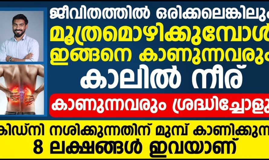 ശരീരത്തിലെ ഈ ലക്ഷണങ്ങൾ സൂക്ഷിക്കുക, ഇത് കിഡ്നിയുടെ നാശത്തെ സൂചിപ്പിക്കുന്നു…