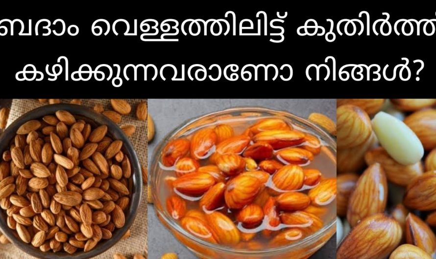 ദിവസവും ബദാം കഴിച്ചാൽ ലഭിക്കുന്ന ഗുണങ്ങൾ, ശരീരത്തിന് അത്ഭുതപ്പെടുത്തുന്ന മാറ്റങ്ങൾ…