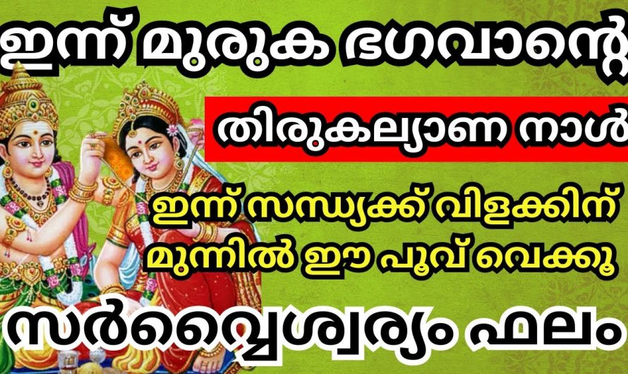 നിലവിളക്കിന് മുന്നിലായി ഇത് സമർപ്പിച്ചാൽ ഏത് ആഗ്രഹവും സഫലമാകും, ഇന്ന് മുരുക ഭഗവാൻറെ തിരു കല്യാണദിവസം…