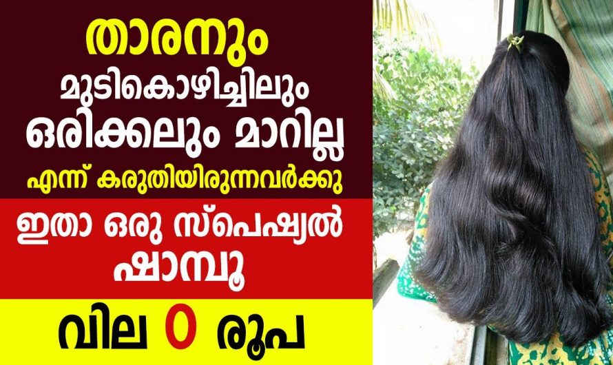 ഒരു രൂപ പോലും ചിലവില്ലാത്ത ഈ ഷാമ്പു തേച്ചാൽ മുടി തഴച്ചു വളരും …