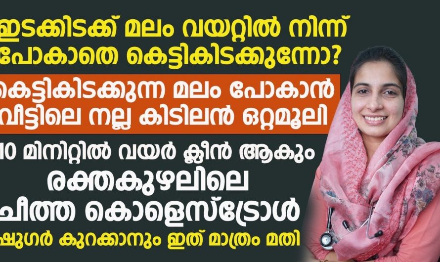 നമ്മൾ ക്ഷണിച്ചു വരുത്തുന്ന ഒരു അസുഖമാണ് ഐ ബി എസ്…