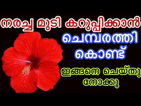 എത്ര നരച്ച മുടിയും ഒറ്റ യൂസിൽ തന്നെ കറുപ്പിച്ചെടുക്കാം, ഒരു മാജിക്കൽ ഹെയർ ഡൈ….