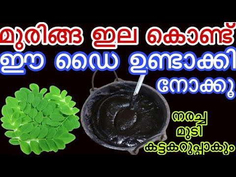 മുരിങ്ങയില കൊണ്ട് വീട്ടിൽ തയ്യാറാക്കാം ഒരു കിടിലൻ ഹെയർ ഡൈ, ഒറ്റയൂസിൽ തന്നെ റിസൾട്ട് കിട്ടും…