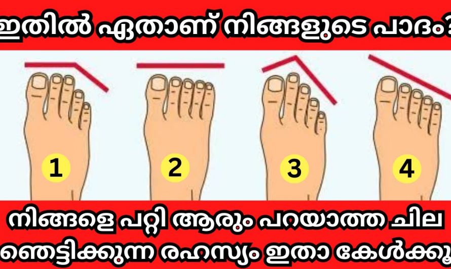 നിങ്ങളുടെ പാദം ഇതിലേതാണ്? ജീവിതത്തിൽ ഇനിയെന്ത് സംഭവിക്കും എന്ന് അറിയാൻ ഇത് കേൾക്കൂ…