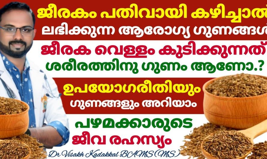 തടി കുറയ്ക്കാൻ ഇനി വേറൊന്നും അന്വേഷിക്കേണ്ട, അടുക്കളയിലെ ജീരകം കൊണ്ട് ഇങ്ങനെ ചെയ്തു നോക്കൂ…