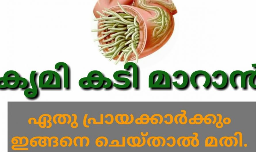 വിരശല്യം അകറ്റാം വീട്ടിൽ തന്നെ, വെളുത്തുള്ളിയും തേനും ഉണ്ടെങ്കിൽ ഇത് ഒരിക്കലും ഇനി വരില്ല…