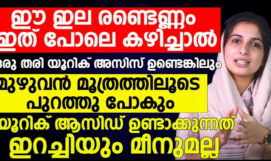 യൂറിക് ആസിഡ് അളവ് നിയന്ത്രിക്കാൻ നിങ്ങൾ ചെയ്യേണ്ടത് ഇതാണ്, ഉടൻ തന്നെ ഫലം കിട്ടും👍