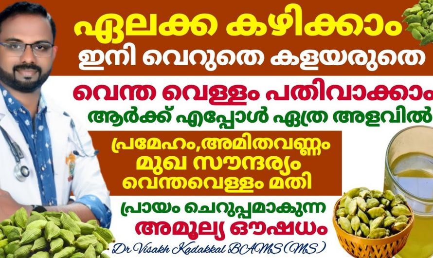 ഈ കുഞ്ഞൻറെ ഗുണങ്ങൾ ഒത്തിരി വലുതാണ്, ശരീരഭാരവും കൊളസ്ട്രോളും കുറയ്ക്കാൻ ഇനി വേറെ വഴികൾ നോക്കേണ്ട…