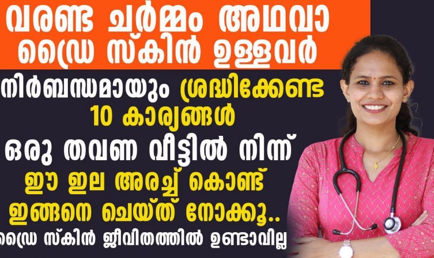 വരണ്ട് ഉണങ്ങിയ ചർമ്മം ഈർപ്പം ഉള്ളതാക്കാൻ ഇതൊന്നു പരീക്ഷിച്ചു നോക്കൂ….