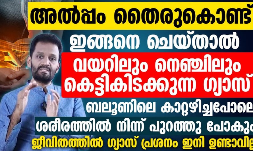 വിശപ്പില്ലായ്മ, അസിഡിറ്റി എന്നീ ലക്ഷണങ്ങൾ നിങ്ങൾക്കുണ്ടോ? ഈ ഭക്ഷണം കഴിച്ചു നോക്കൂ പൂർണ്ണമായും മാറിക്കിട്ടും…