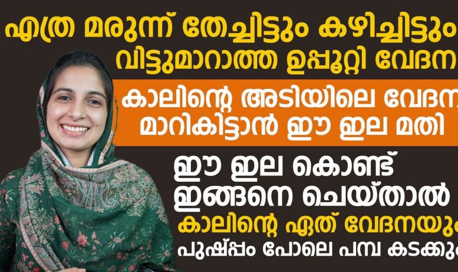 വിട്ടുമാറാത്ത ഉപ്പൂറ്റി വേദന വീട്ടിൽ തന്നെ എളുപ്പത്തിൽ മാറ്റാം, ചെയ്യേണ്ടത് ഇത്രമാത്രം…