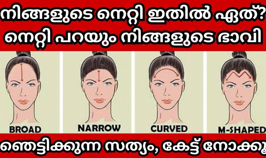 ഇവയിൽ ഏതാണ് നിങ്ങളുടെ നെറ്റിത്തടം? ജീവിതത്തിൽ ഇനി എന്ത് സംഭവിക്കും എന്ന് അറിയാം….