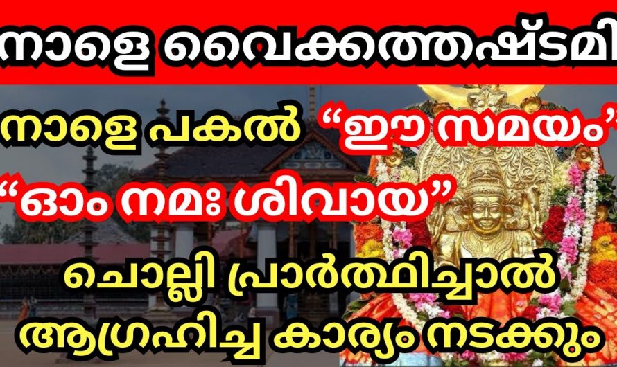 വീട്ടിൽ സൗഭാഗ്യം വന്നു നിറയാൻ വൈക്കത്തഷ്ടമി ദിവസം ഇങ്ങനെ പ്രാർത്ഥിക്കൂ….