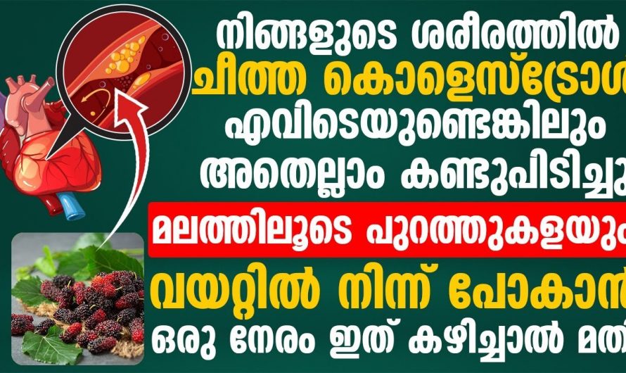 ഇനി പ്രമേഹവും കൊളസ്ട്രോളും മാറാൻ മരുന്ന് കഴിക്കേണ്ട, ഈ പഴം സകല രോഗങ്ങളെയും അകറ്റും….