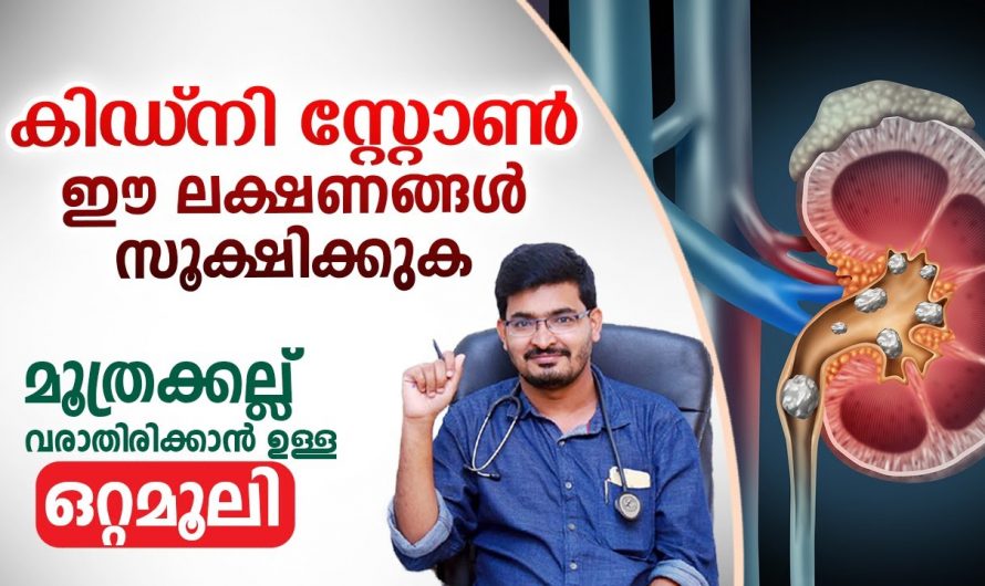 ഇടയ്ക്കിടെ മൂത്രമൊഴിക്കണം എന്ന് തോന്നൽ ഈ രോഗാവസ്ഥയുടേതാണ്, ഒരിക്കലും അവഗണിക്കരുത്….