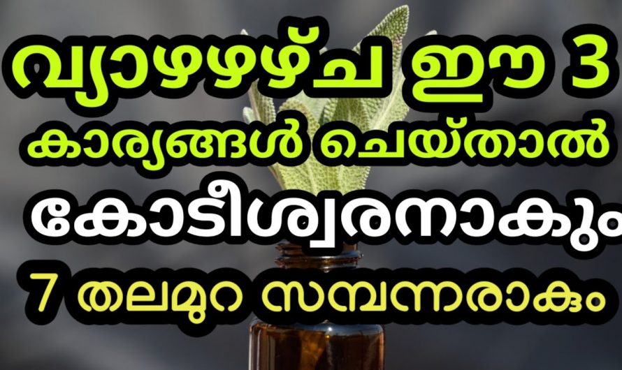 വ്യാഴാഴ്ച ദിവസം ഈ കാര്യങ്ങൾ വീട്ടിൽ ചെയ്താൽ ജീവിതത്തിലെ ഏതു പ്രതിസന്ധിയും തരണം ചെയ്യാം…