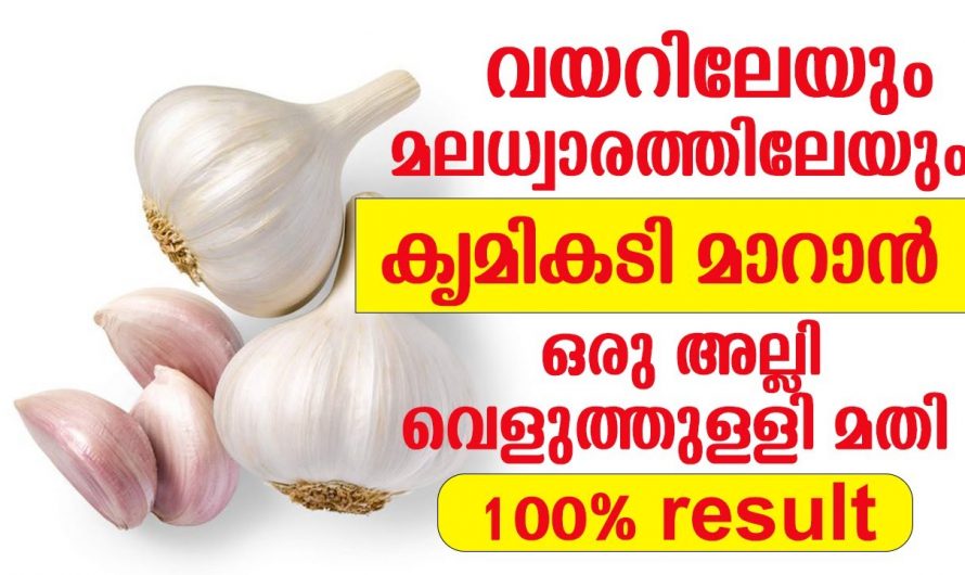 വിരശല്യം പൂർണമായും അകറ്റാൻ വെളുത്തുള്ളി കൊണ്ടൊരു സൂത്രം,100% റിസൾട്ട് കിട്ടും…