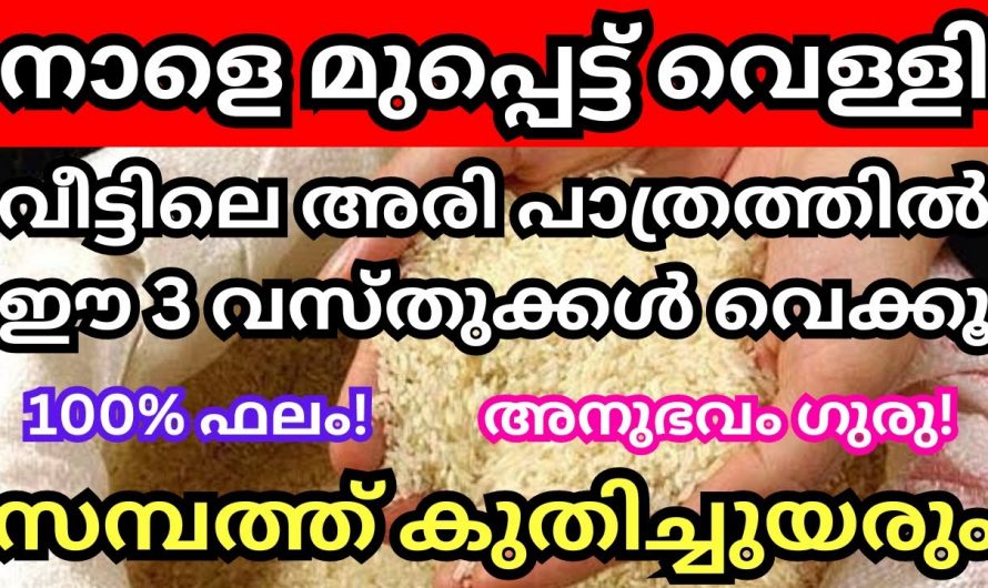 ഇന്ന് ധനു മാസത്തിലെ മുപ്പട്ട് വെള്ളി- ഇന്ന് സന്ധ്യയ്ക്ക് ഇത് ചെയ്താൽ കോടീശ്വരയോഗം വരും…