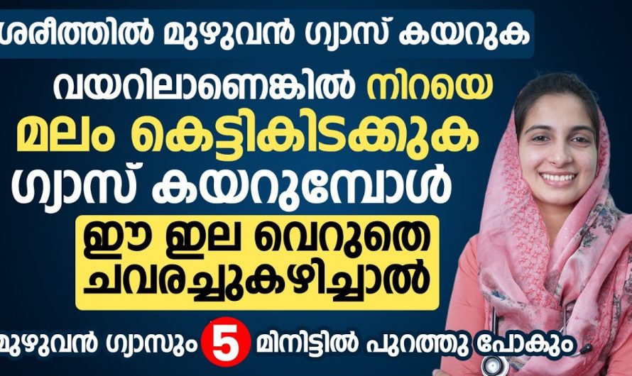 എവിടെക്കെങ്കിലും പോകാൻ ഇറങ്ങുമ്പോൾ ടോയ്‌ലറ്റിൽ പോകണം എന്ന ബുദ്ധിമുട്ട് നേരിടുന്നവരാണോ? എന്നാൽ ഇത് അറിയുക…