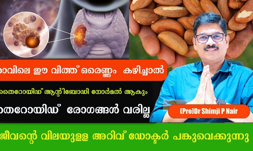 നിങ്ങളുടെ മുടി അമിതമായി കൊഴിയുന്നുണ്ടോ? എന്നാൽ ഇതൊന്നു ടെസ്റ്റ് ചെയ്തു നോക്കൂ…