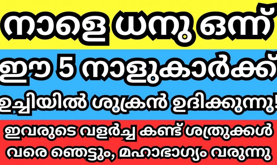 ഈ നാളുകാർ ഇനി റോക്കറ്റ് പോലെ കുതിച്ചുയരും, ധനു മാസത്തിൽ ഇവർക്ക് ഗജകേസരിയോഗം…