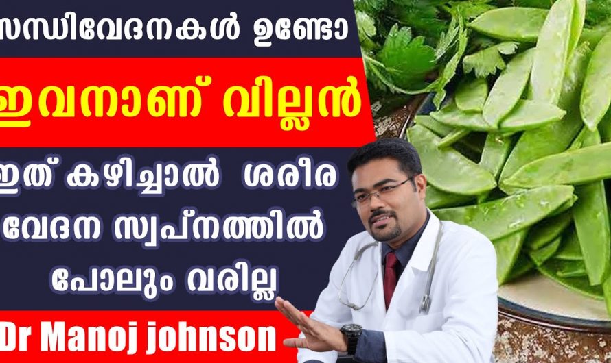 വിറ്റാമിൻ കെ ശരീരത്തിന് ഇത്രയും ഗുണമോ? ഈ ഭക്ഷണങ്ങൾ കഴിച്ചില്ലെങ്കിൽ ഇത് നഷ്ടമാകും…