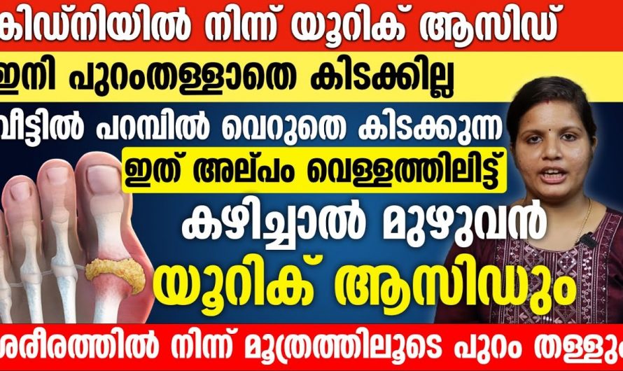 സന്ധിവേദനയ്ക്ക് കാരണമാകുന്ന യൂറിക്കാസിഡ് കുറയ്ക്കണമെങ്കിൽ ഈ ഭക്ഷണം ഒഴിവാക്കുക…