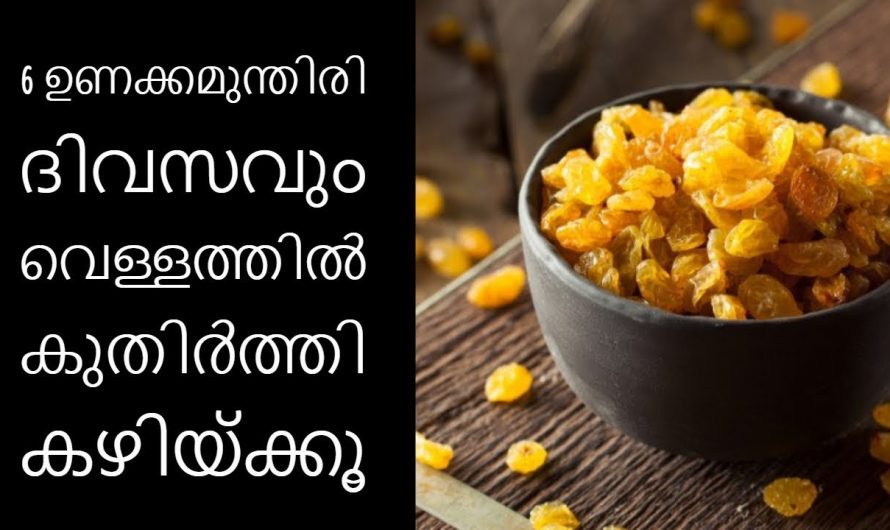 ഈ കുഞ്ഞൻ ചില്ലറക്കാരനല്ല, ഉണക്കമുന്തിരിയുടെ ആരോഗ്യഗുണങ്ങൾ ആരെയും അതിശയിപ്പിക്കും…