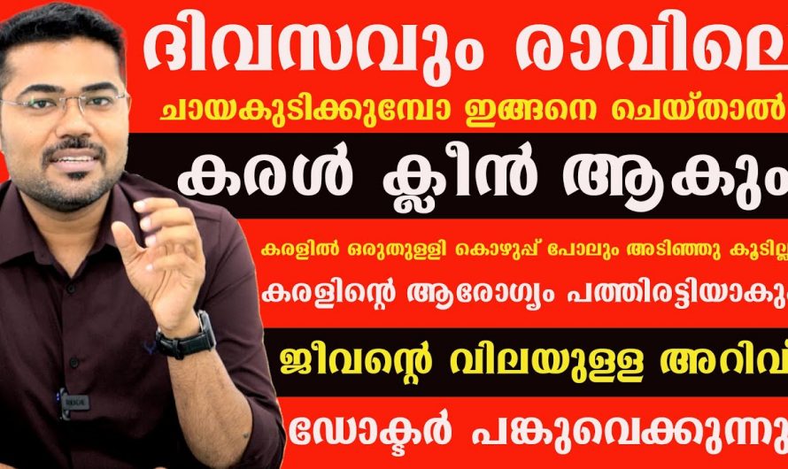 ആരോഗ്യകരമായ കരളിന് ഇതിലും നല്ല വഴികൾ വേറെയില്ല, ഈ കാര്യങ്ങൾ ശ്രദ്ധിക്കുക…