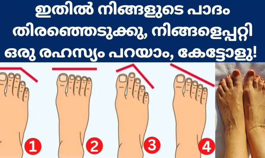 നിങ്ങളുടെ പാദം പറയും നിങ്ങളുടെ ഭാവി, ഇനി ജീവിതത്തിൽ സംഭവിക്കാൻ പോകുന്നത് എന്ത്!