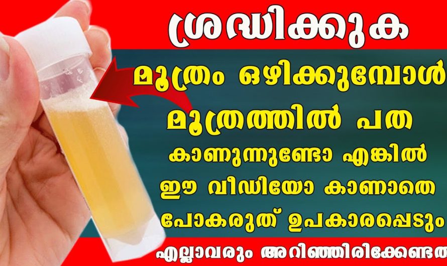 മൂത്രത്തിൽ കാണുന്ന പത നിസ്സാരമല്ല, വൃക്ക തകരാറിൽ ആകാൻ പോകുന്നു എന്നതിൻറെ സൂചനയാണ്, സൂക്ഷിക്കുക…