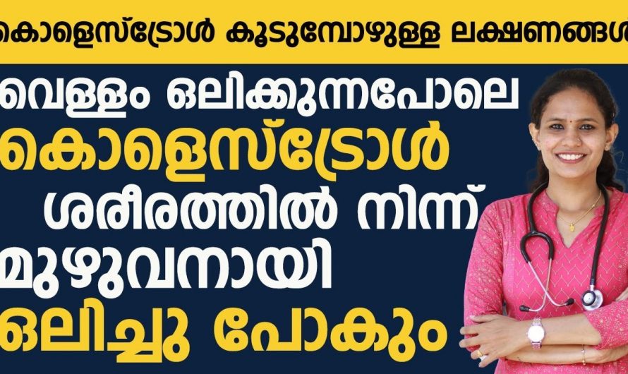 മരുന്നു കഴിക്കാതെ തന്നെ കൊളസ്ട്രോൾ കുറയ്ക്കാൻ ഈ ഭക്ഷണം പൂർണമായും ഒഴിവാക്കുക…