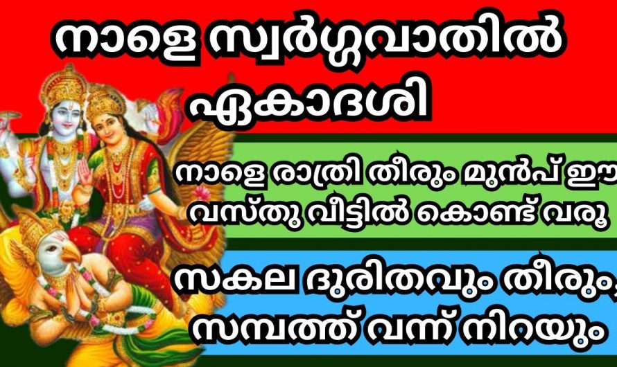 നാളത്തെ ദിവസം ഇവയിൽ ഏതെങ്കിലും ഒരു വസ്തു വീട്ടിൽ കൊണ്ടുവരു, ജീവിതം രക്ഷപ്പെടും…