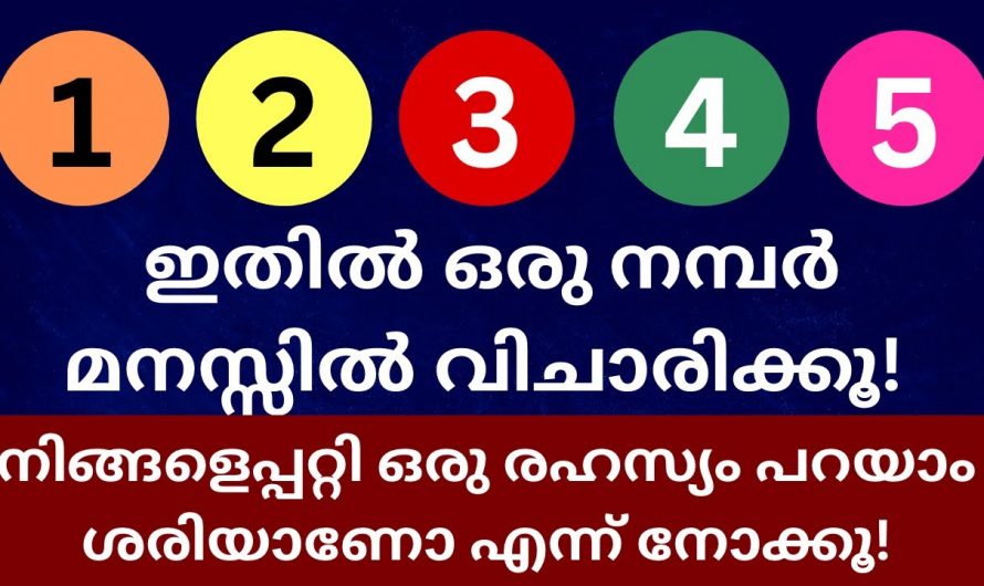 ഇവയിൽ ഒരു നമ്പർ തിരഞ്ഞെടുക്കൂ, നിങ്ങളുടെ ഭാവി എന്താണെന്ന് വ്യക്തമായി അറിയാം…