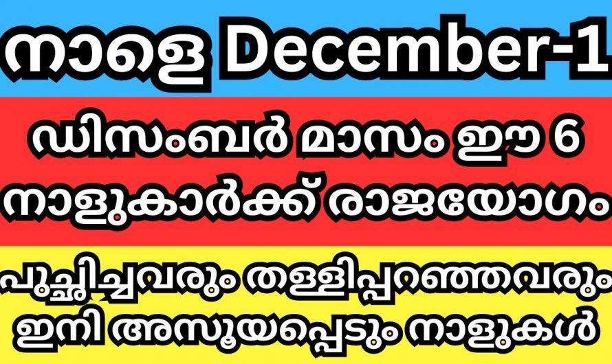 ഈ നാളുകാർ ഇനി ആഗ്രഹിച്ചതെല്ലാം സ്വന്തമാക്കും, ഇവരുടെ ജീവിതത്തിൽ ഞെട്ടിക്കുന്ന ഒരു കാര്യം നടക്കും…