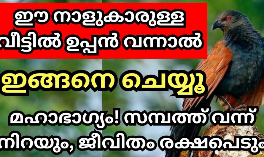 ഈ നാളുകാർ ഉപ്പനെ കണ്ടാൽ ഉടൻതന്നെ ഇത് ചെയ്യൂ, നിങ്ങളുടെ ഏത് ആഗ്രഹവും നടന്നു കിട്ടും…