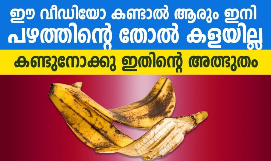 പഴത്തിന്റെ തോൽ ഇനി വെറുതെ കളയണ്ട, ചർമ്മം തിളങ്ങാൻ ഇതു മതി…