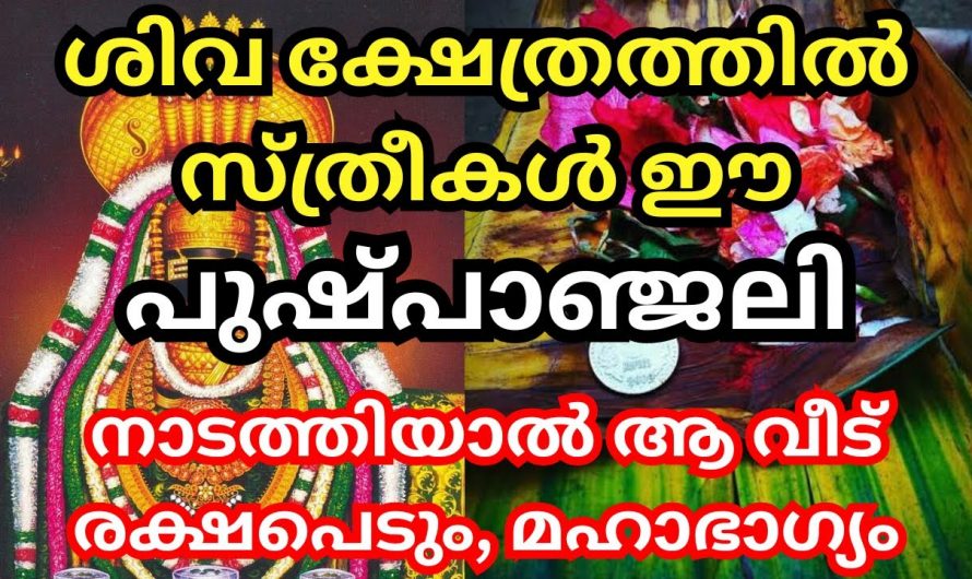 ശിവ ഭഗവാന് ഈ വഴിപാട് നടത്തിയാൽ നിങ്ങളുടെ ഏത് ആഗ്രഹവും നടക്കും…